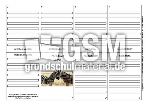 Faltbuch-Zebra.pdf